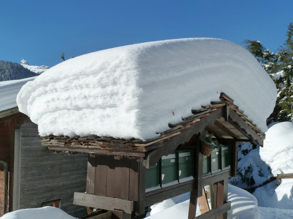 דירות וונגן Chalet Gerbera מראה חיצוני תמונה